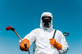 Emergency Pest Control in Dunnigan, CA